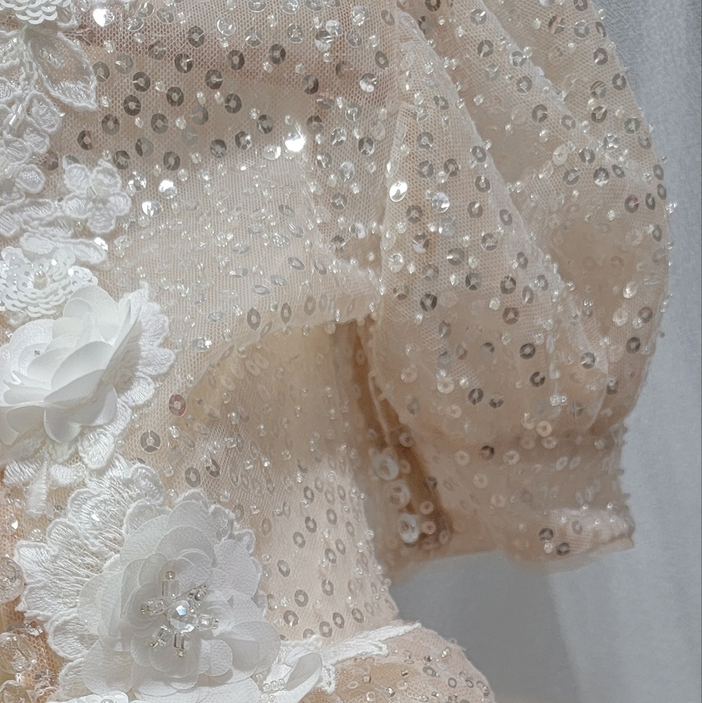 New Sequin Dress - Picture 6 of 10
